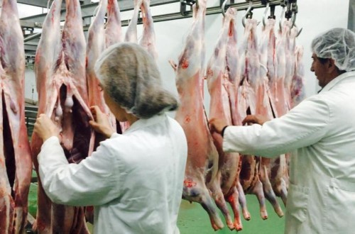 España lidera con un 26,5% y 5.944 t la demanda de ayudas UE para almacenamiento privado de carne de porcino