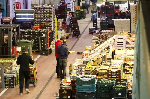 La actual hiperregulación de la actividad productiva y comercial preocupa al sector hortofrutícola