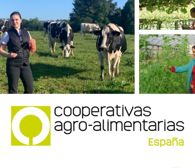 Palma de Mallorca acogerá el IX Congreso Nacional de Cooperativas Agro-alimentarias los días 27 y 28 de marzo de 2025