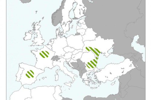 La sequía baja las perspectivas de rendimiento de los cultivos de invierno en Europa