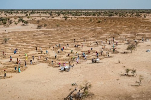 El cambio climático volvió a batir récords por tierra, mar y aire en 2021