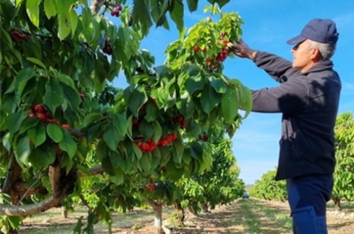 Mayo recuperó empleo y afiliación de los trabajadores agrarios por cuenta propia y ajena