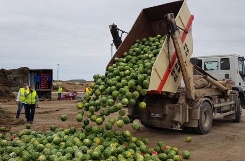 Así pretende el Gobierno frenar el desperdicio alimentario. Por Eduardo Moyano Estrada