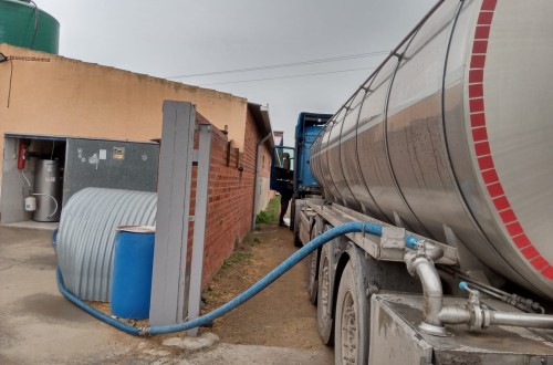 Cártel de la Leche: el TJUE amplía el plazo para reclamar indemnizaciones a las industrias