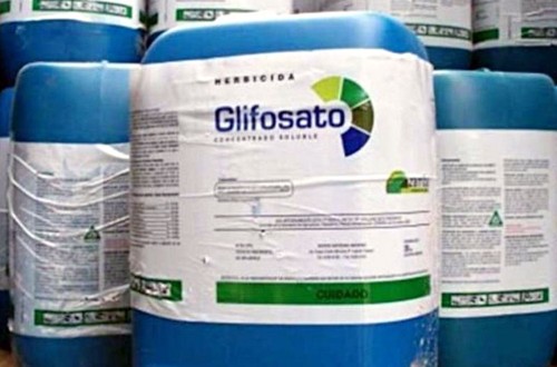 La Agencia Europea de Sustancias y Mezclas Químicas decide mantener la actual clasificación del glifosato