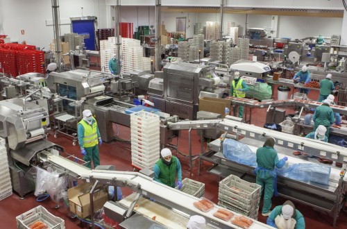 La producción de la industria de alimentación y bebidas creció un 5,3% más en 2021, alcanzando los 139.655 M€