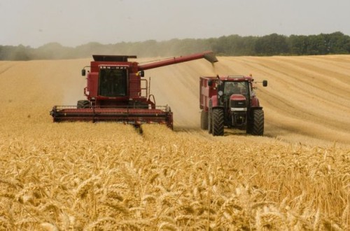 COPA-Cogeca: la producción de cereales en la UE-27 se prevé en 277 Mt en 2022/23, un 4,4% y 13 Mt menos