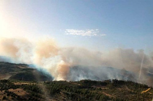 Lo que es monte y lo que no. Por Donaciano Dujo