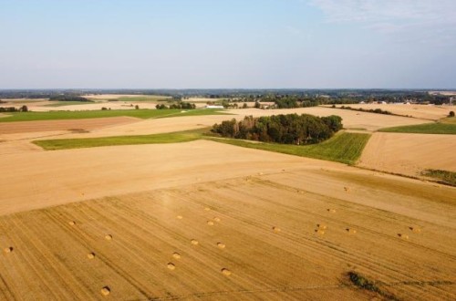 El CIC recorta la producción mundial de cereales 2022/23 en 3 Mt por el estrés hídrico en la Unión Europea