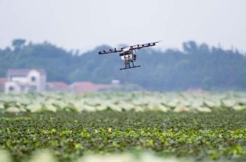 Preocupación del sector hortofrutícola europeo por la propuesta de la CE para reducir un 50% el uso de fitosanitarios en 2030