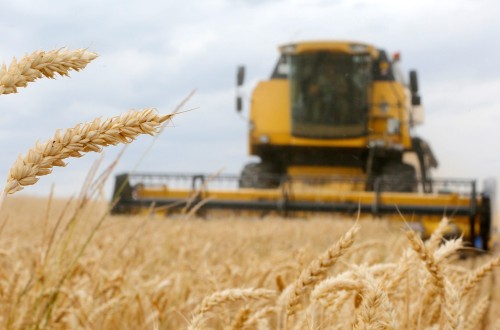 FAO: el índice de precios mundiales de los alimentos básicos bajó en junio por tercer mes consecutivo