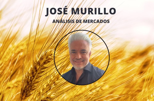 Análisis semanal del mercado de cereales. Por José Murillo