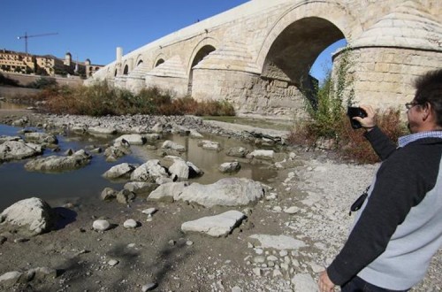 Andalucía vuelve a pedir al Gobierno la convocatoria urgente de la Mesa Nacional de la Sequía