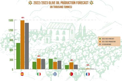 El COPA-Cogeca recorta más del 35% y hasta menos de 1,5 Mt la producción de aceite de oliva en la UE en 2022/23