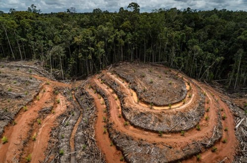 El Gobierno apoya aplazar la ley de deforestación ante las dificultades en su aplicación