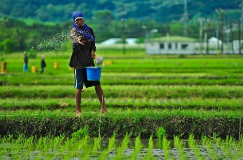 La tensión de los mercados de fertilizantes afecta de lleno a Europa