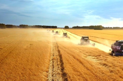 El agro prevé un descenso de 20 Mt de la cosecha de cereales 2022/23 en la Unión Europea