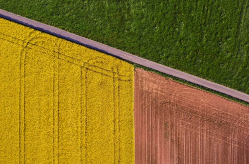 Cooperativas Agro-alimentarias participará en 12 proyectos de innovación de la UE