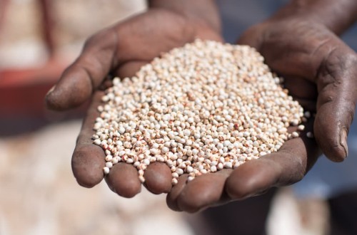 El sistema alimentario, en un momento crítico. Por Fundación Triptolemos