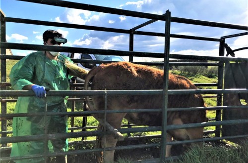 Oposición de 23 países a que Bruselas recorte un 40% los fondos para cofinanciar la sanidad animal y vegetal