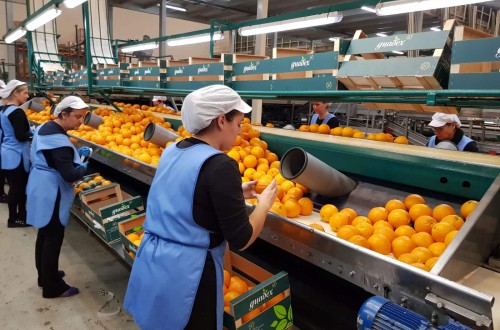 Mínimos para el reconocimiento de las OPFH: Política agraria sin coste presupuestario. Por Gabriel Trenzado Falcón