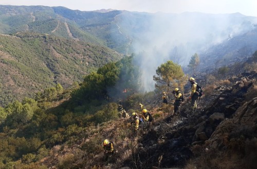 El Gobierno regula a nivel nacional la situación laboral de los bomberos forestales y de los agentes medioambientales