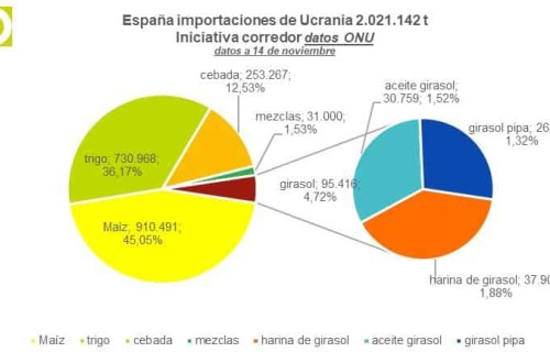 España supera ya los 2 Mt de cereales y girasol importados de Ucrania a través del corredor humanitario