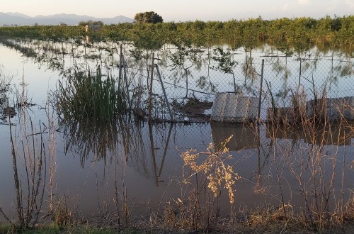 Presupuesto récord de 317,7 M€ de apoyo estatal a la contratación de seguros agrarios en 2023