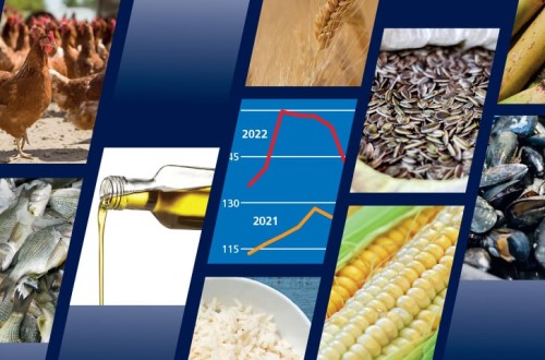 Récord mundial del coste de las importaciones de alimentos debido a la inflación