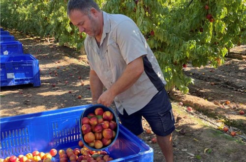 Jordi Pujol, agricultor-actor de la película «Alcarrás»: “O se cuida a los agricultores o dentro de 15 años la agricultura como la entendemos ahora no existirá”