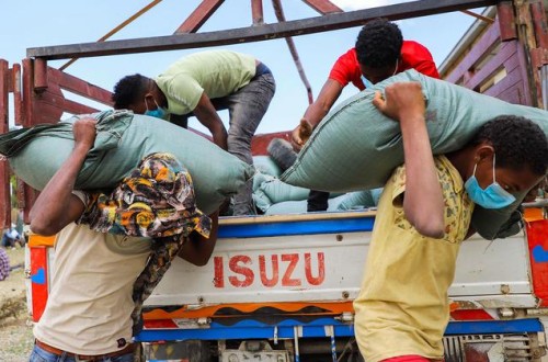 Salen de puertos europeos hacia países africanos 260.000 t de fertilizantes rusos donados al PMA