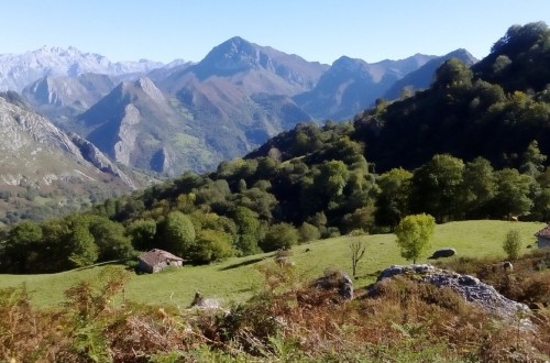 La Eurocámara reclama soluciones urgentes para reactivar las zonas rurales de la UE