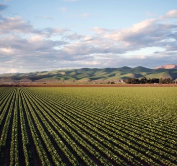 El número de explotaciones agrícolas cae un 12,4% entre 2020 y 2023, la superficie media aumenta un 13,4%