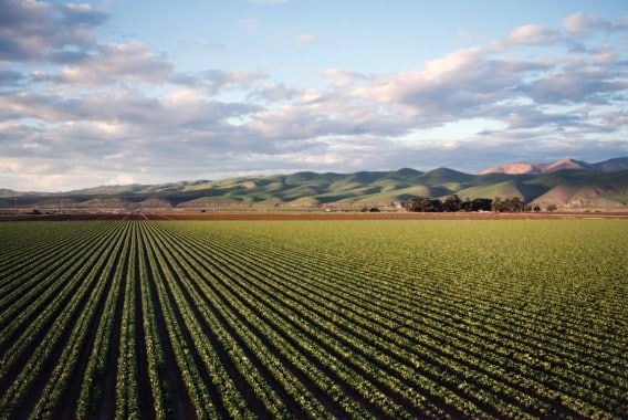 El número de explotaciones agrícolas cae un 12,4% entre 2020 y 2023, la superficie media aumenta un 13,4%