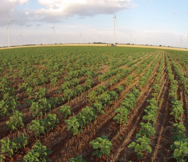 El sector agrícola y pesquero incrementan la creación de empresas en enero de 2025