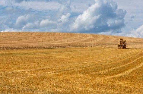 Unos 26.344 productores dejaron de solicitar el pago básico de la PAC en la campaña 2021