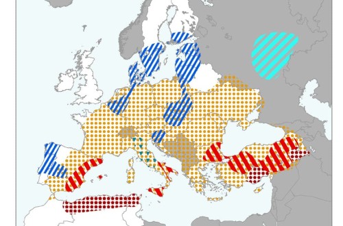 Preocupa la oscilación entre temperaturas extremas en la evolución de los cultivos en Europa