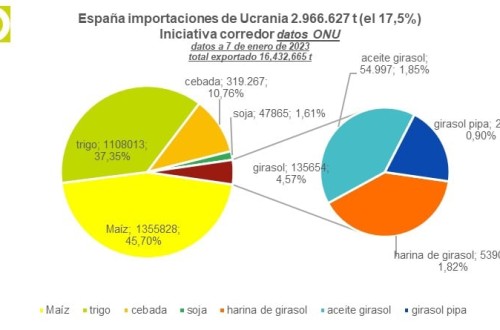 España roza ya los 3 Mt de importaciones de cereales y oleaginosas por el corredor marítimo de Ucrania