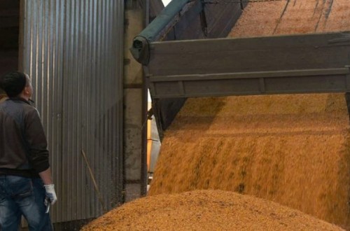 Las importaciones españolas de cereal y oleaginosas de Ucrania superan ya los 3,8 Mt por el corredor del Mar Negro