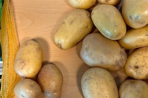 Las OPAs denuncian fraude en la venta de patatas de conservación de origen Francia como nuevas de España