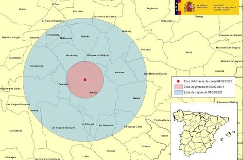 Notificado un foco de gripe aviar en una granja de pavos del municipio de Arbeca en Lleida