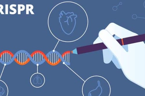 El agro comunitario valora la sentencia del TJUE que diferencia las técnicas de mutagénesis de los OMG