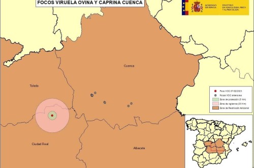 El RASVE confirma 26 focos del virus de la Viruela Ovina y Caprina hasta ahora en España