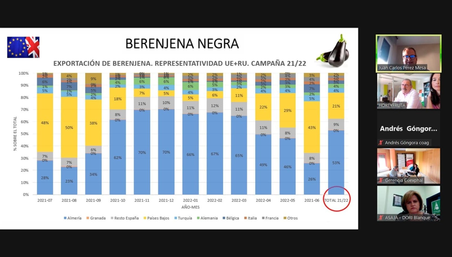 Situación de alerta en la producción de berenjena, según la interprofesional Hortyfruta