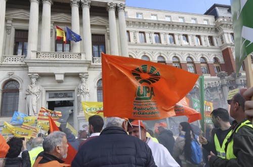 Los apicultores urgen un plan de apoyo y un mejor etiquetado para defender la miel y la apicultura española