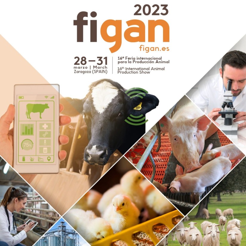 Zaragoza, epicentro por cuatro días de la ganadería internacional con FIGAN
