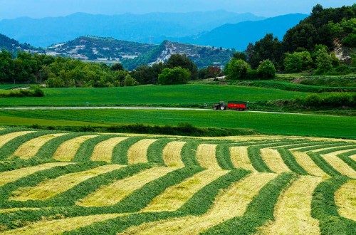 Caen en un 37% el número de explotaciones agrarias en la UE en solo 15 años