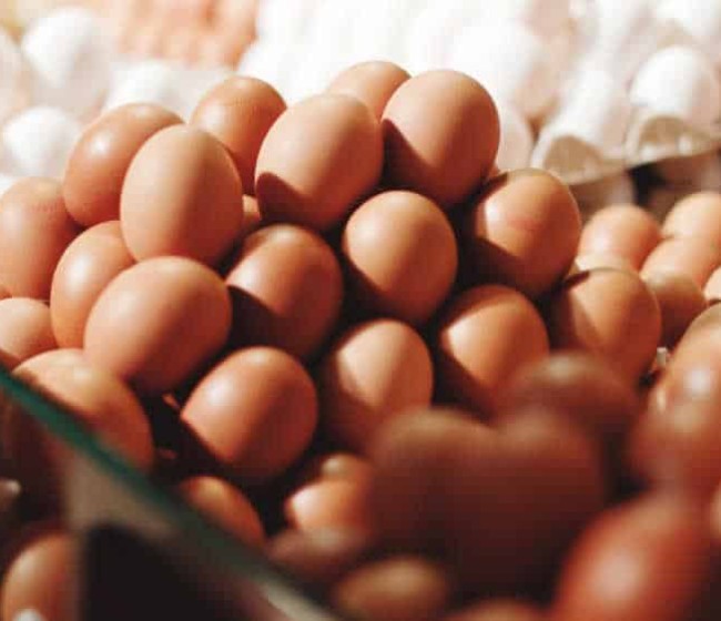 El precio de los huevos sube un 30% en un año mientras España estudia exportar a EEUU