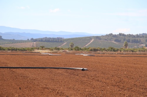 La Renta Agraria de 2022 bajó un 6,2% por el gasto récord en insumos y servicios del sector