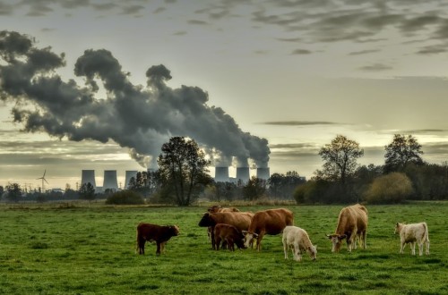 El Parlamento Europeo aprueba las normativas clave para reducir al menos un 55% las emisiones de GEI en 2030